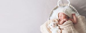 Sleeping infant covered in blanket and stuffed lamb in a Moses basket