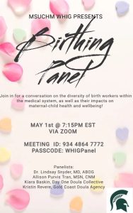 Birthing panel promotional graphic with tan background and rainbow flower petals